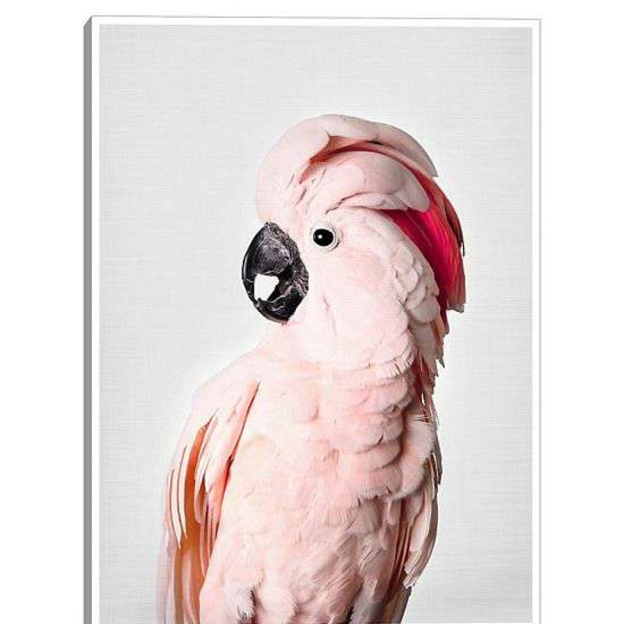 Home Decor * | Master Piece Pink Cockatoo Wall Art By Sisi & Seb