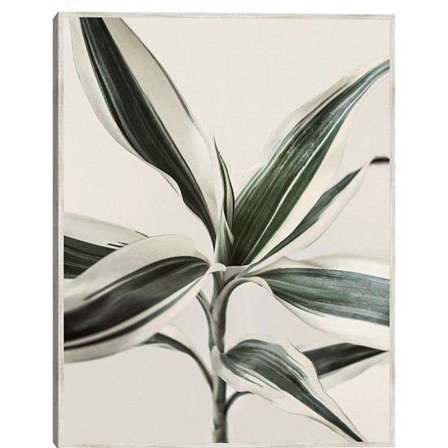 Home Decor * | Master Piece Foliage Wall Art By Sisi & Seb