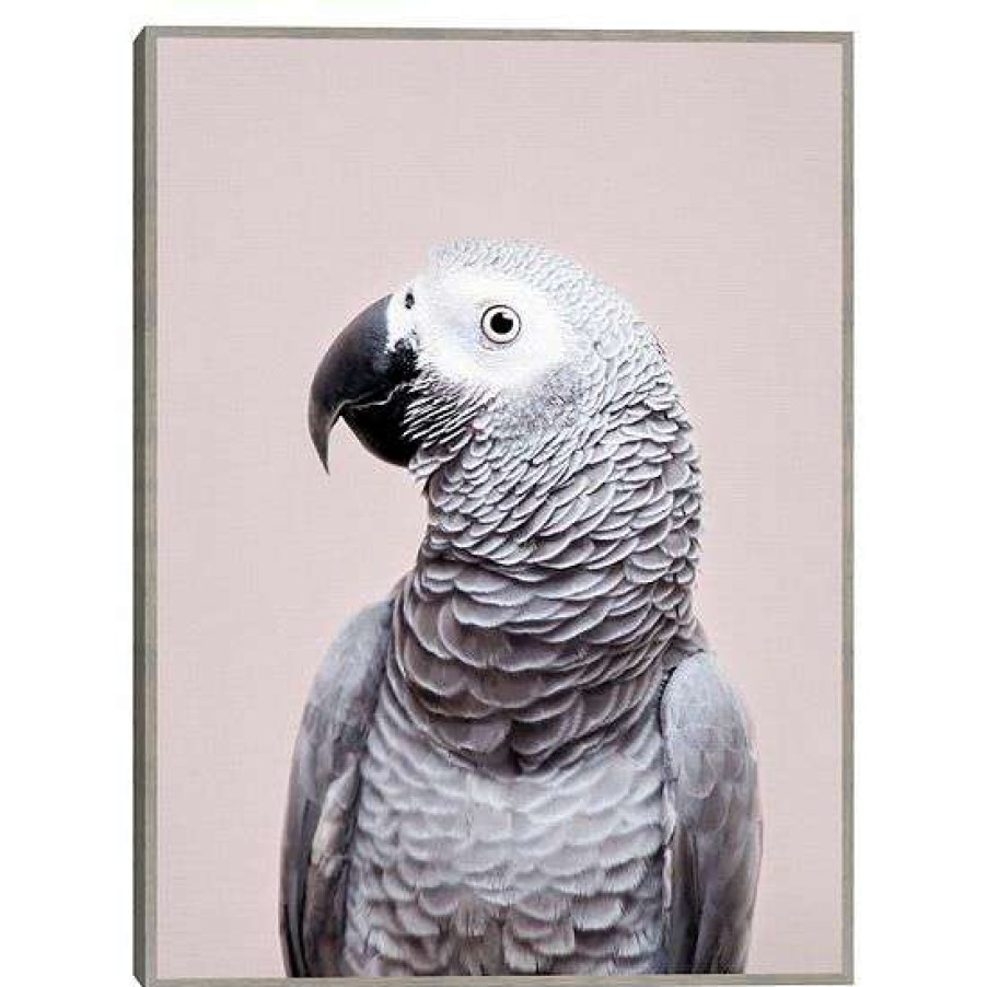 Home Decor * | Master Piece African Grey Wall Art By Sisi & Seb